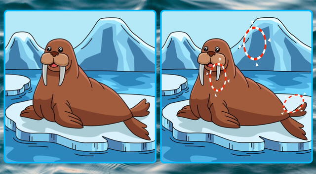 retos visuales retos visuales