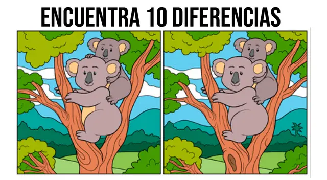 Solo el más hábil podrá suprar este reto de nivel EXPERTO. Solo el más hábil podrá suprar este reto de nivel EXPERTO.