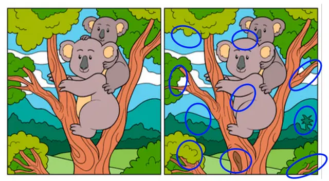 reto visual reto visual