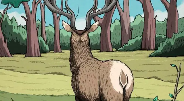 Solo los más hábiles podrán enfrentar este reto de nivel EXPERTO.