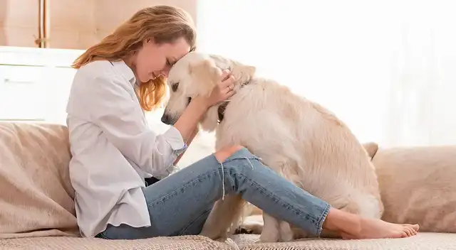 Tu mascota no te lo dirá, pero él absorbe cada sensación positiva o negativa que sientas.