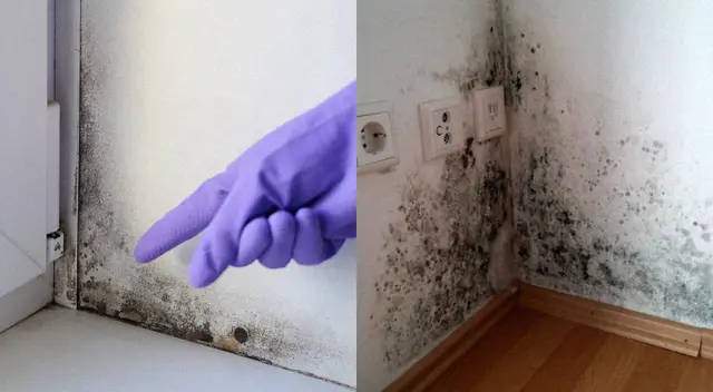 Conoce el truco casero que puede acabar con la humedad de tu hogar. Conoce el truco casero que puede acabar con la humedad de tu hogar.