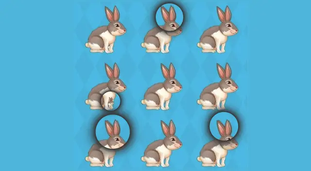 reto visual reto visual