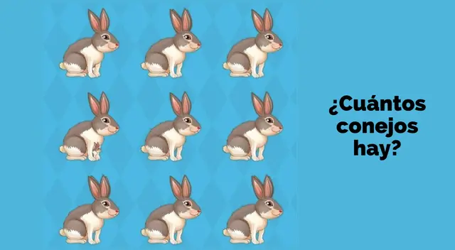 Solo personas con excelente vista logran saber cuando conejos hay. Solo personas con excelente vista logran saber cuando conejos hay.