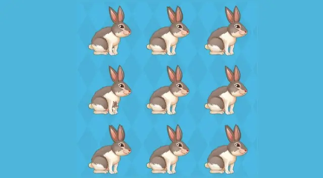 reto visual reto visual