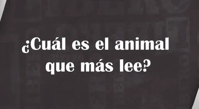 Acertijos visuales Acertijos visuales