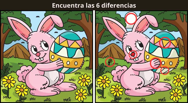 Reto visual Reto visual