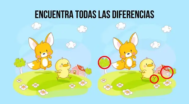 reto visual reto visual