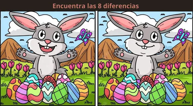 Solo el 1% de los más observadores puede percatarse de las diferencias entre los conejos. Solo el 1% de los más observadores puede percatarse de las diferencias entre los conejos.
