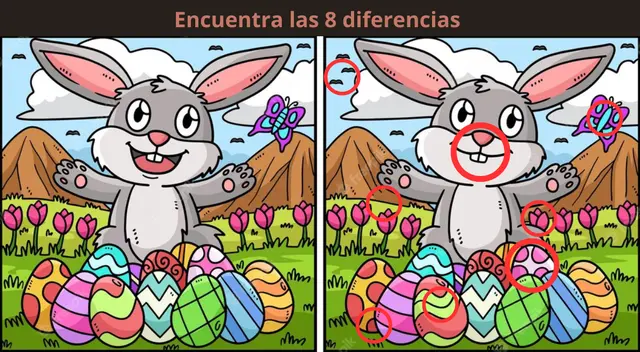 Reto visual Reto visual