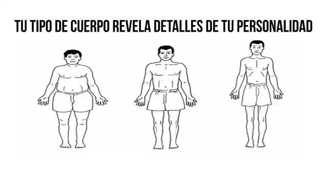 Elige cuál es la forma de tu cuerpo del test visual y descubre ...
