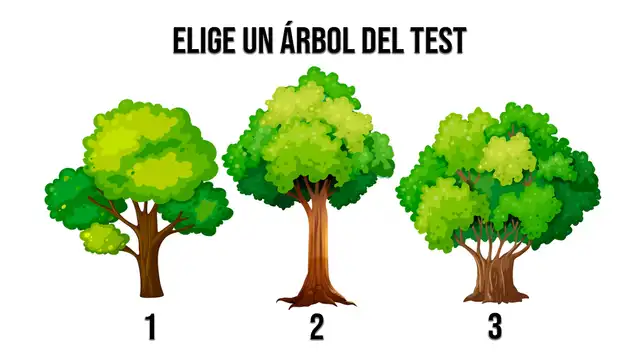 Elige uno de los árboles de este test de personalidad y descubre más aspectos de tu comportamiento.