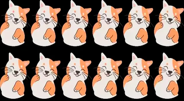 Entre las filas y columnas, se esconde un travieso gato que es totalmente diferente a los demás.