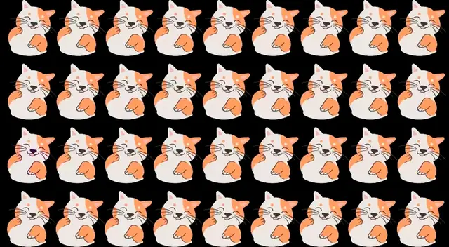 retos visuales