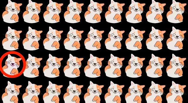 solución retos visuales