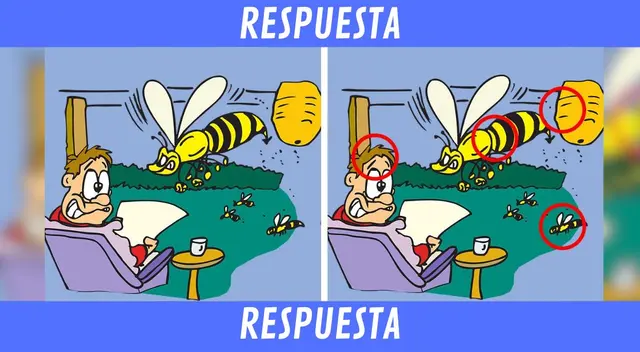 Retos visuales Retos visuales