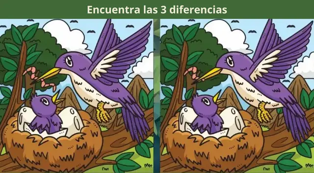 Reto visual