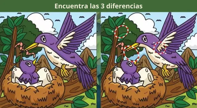 Reto visual