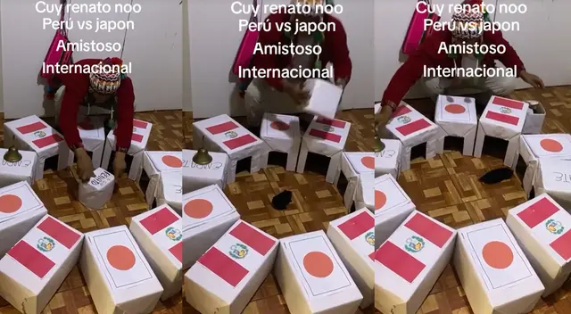 Perú vs Japón: Cuy Renato da inesperado pronóstico del partido, pero hinchas creen en la fe Perú vs Japón: Cuy Renato da inesperado pronóstico del partido, pero hinchas creen en la fe
