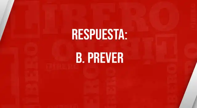 Curiosidades Curiosidades