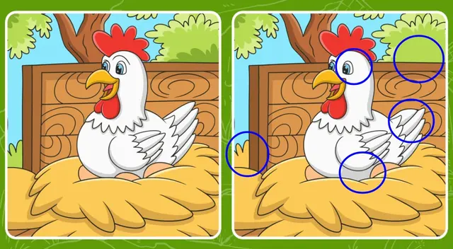 retos visuales retos visuales