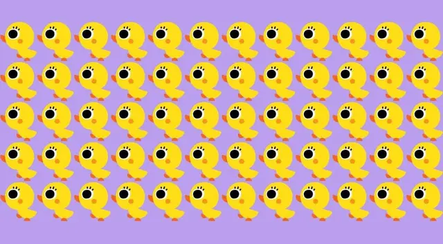 acertijo visual acertijo visual