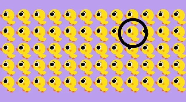 acertijo visual acertijo visual