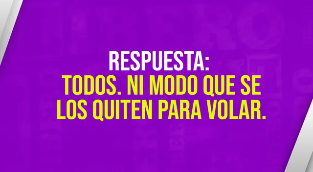 acertijo visual