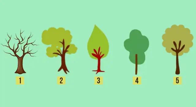 Dependiendo de tu elección en el test de personalidad, conocerás cuál es tipo de mentalidad que tienes.