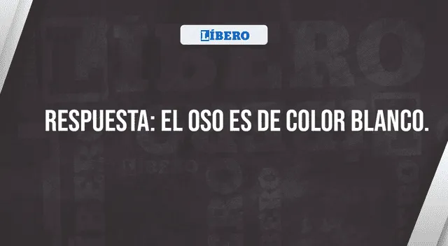 acertijo visual