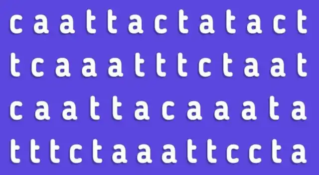 Analiza el reto visual para encontrar la respuesta correcta en menos de 5 segundos. Analiza el reto visual para encontrar la respuesta correcta en menos de 5 segundos.