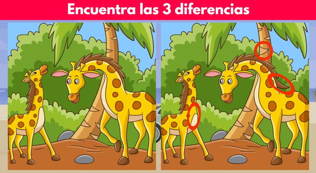 Reto visual Reto visual