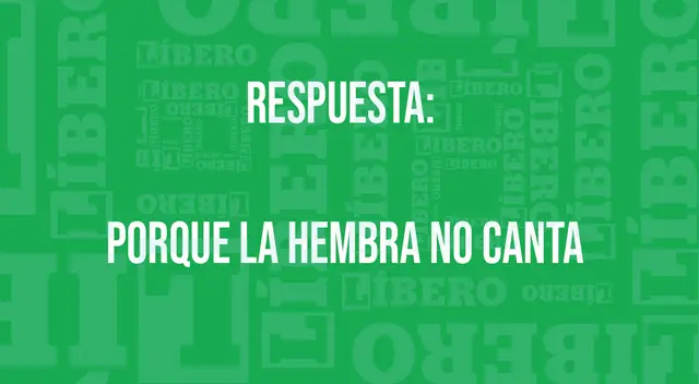 solución acertijo visual