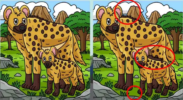 reto visual reto visual