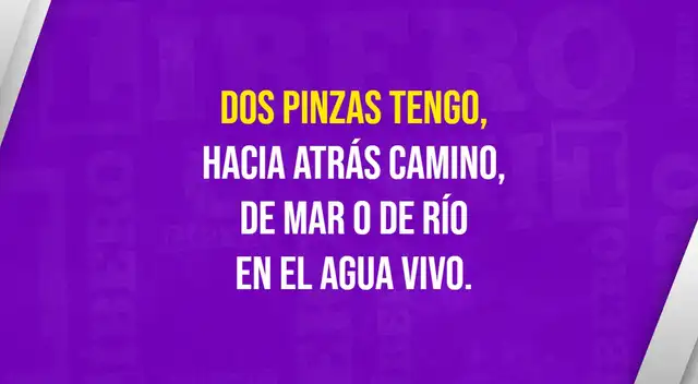 El curioso acertijo visual del animalito marítimo. ¿Podrás reconocerlo? El curioso acertijo visual del animalito marítimo. ¿Podrás reconocerlo?