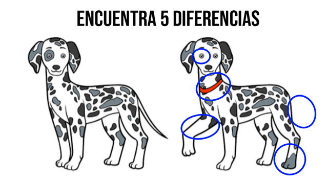 reto mental reto mental