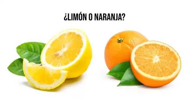 Resuelve este test de personalidad y descubre si eres de las personas que critica mucho a los demás