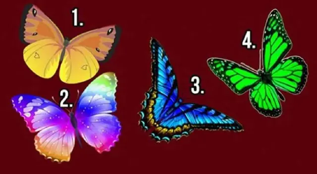 Detecta la mariposa que más te agrade y conoce la verdad sobre ti Detecta la mariposa que más te agrade y conoce la verdad sobre ti