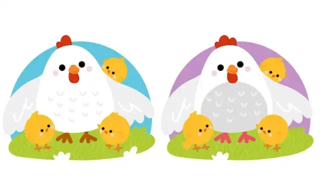 ¿Ves las 8 fallas? Los pollitos en el reto esperan por ti