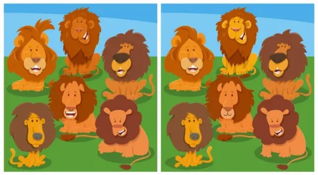 Encuentra las 5 diferencias que oculta esta divertida imágen de leones
