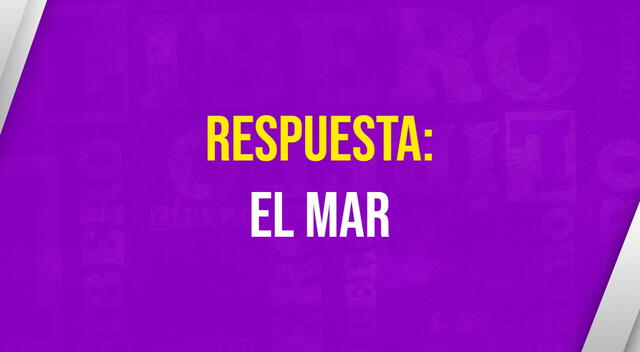 acertijo visual