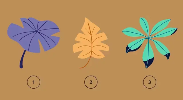 ¿Morado, mostaza o verde? Escoge una sola hoja y descubre detalles inéditos sobre ti.