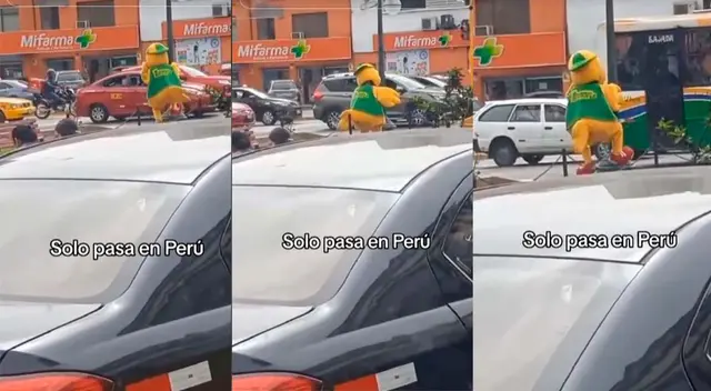 Pollo es captado bailando perreo en poste alumbrado público.