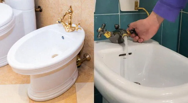 Curiosidades.