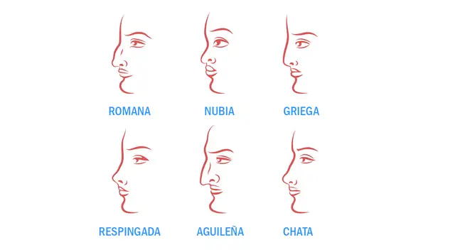 ¿Sabes qué dice tu nariz de tu personalidad? Realiza el test y conoce más detalles de ti en cuestión de segundos.