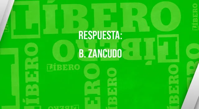 Curiosidades