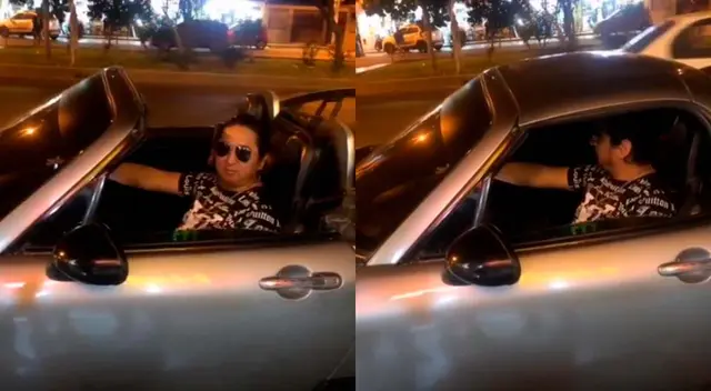 Tapir se lució por las calles manejando un auto, pero cometió un error.