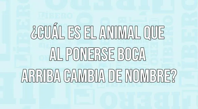 Debido a su elevado nivel, un promedio del 1% de los participantes salió VICTORIOSO de este reto visual.