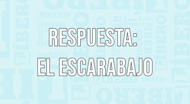 solución acertijo visual