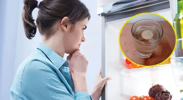Si la refrigeradora cambia de temperatura, la moneda se moverá dentro del envase.